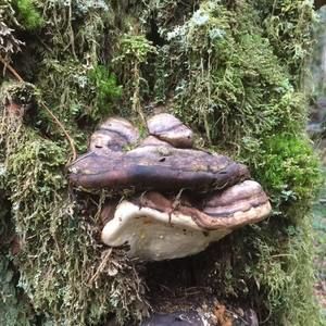 Meet your Posher, Tim